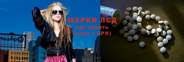 PSILOCYBIN Алзамай
