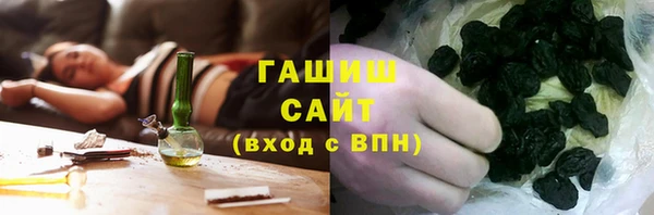 PSILOCYBIN Алзамай