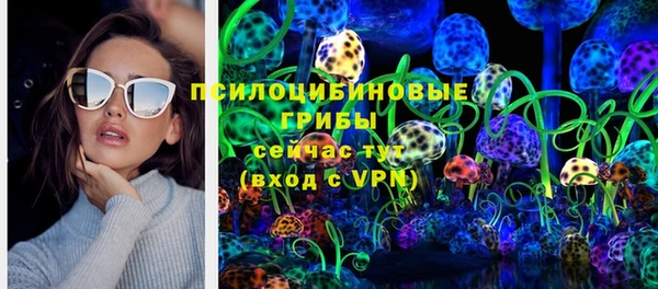 PSILOCYBIN Алзамай