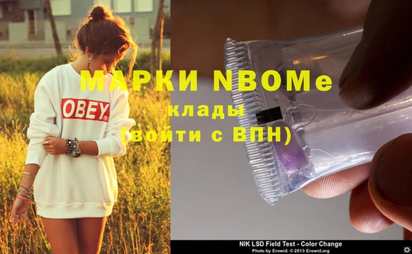 PSILOCYBIN Алзамай
