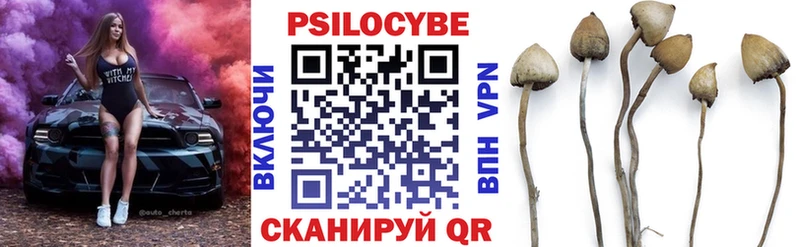 Галлюциногенные грибы Psilocybine cubensis купить наркотик Нижний Ломов